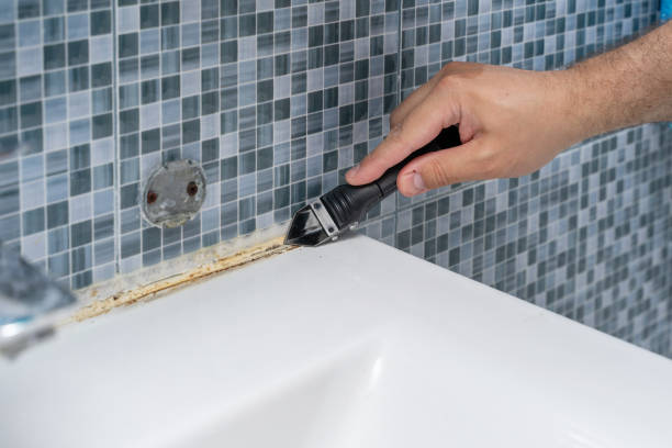 Best Commercial Mold Removal  in Hughes Springs, TX